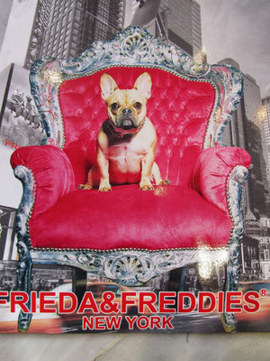 FRIEDA&FREDDIES 