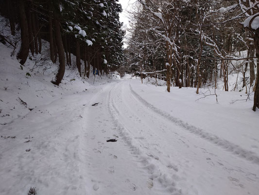 雪の滑り台全景