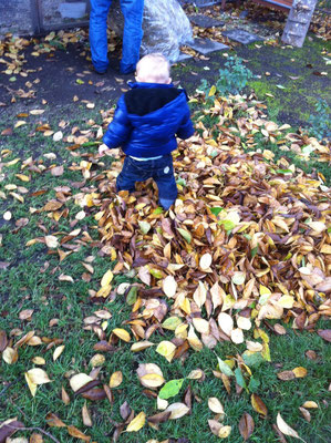 Durch den Blätterhaufen laufen, macht einen großen Spaß!