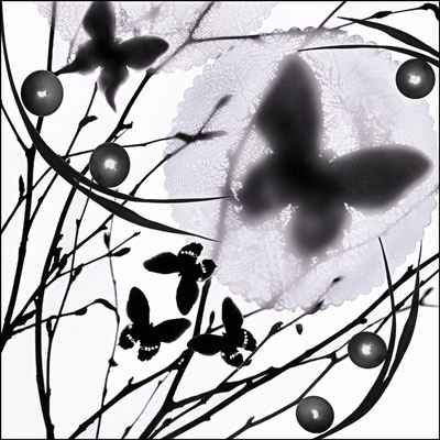© Capture Butterfly de Marie-Fa Lazzari. Tirage limité à 5 sur du papier 100% coton qualité musée en A3 ou A3+ au choix.