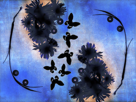 © Blue Butterfly de Marie-Fa Lazzari. Tirage limité à 8 sur du papier 100% coton qualité musée en A3 ou A3+ au choix.