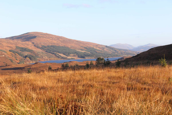 Isle of Mull Loch Frisa ©My own Travel