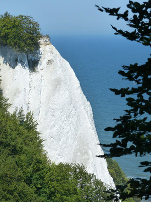 die weißen Kreidefelsen am Königsstuhl von Rügen in der Sonne