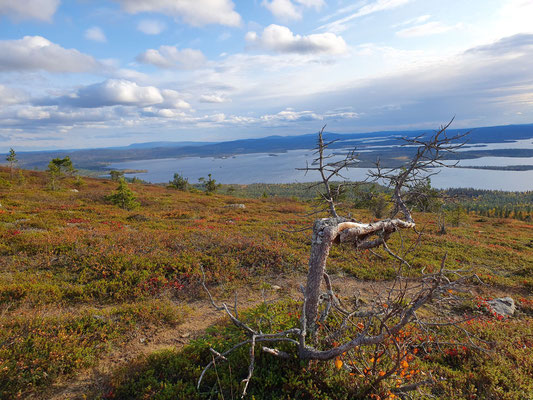 ©My own Travel