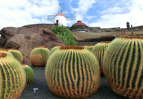 Lanzarote