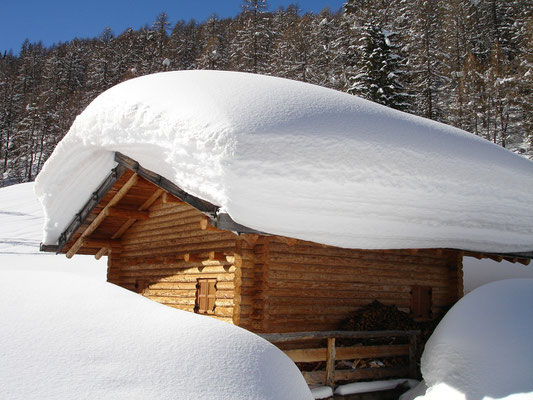 Tiefschnee-Impressionen