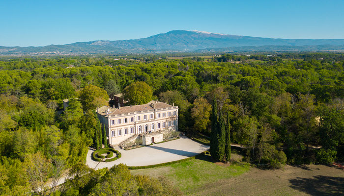 Château Martinay mit Mont Ventoux