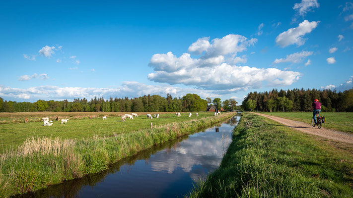 Eine sommerliche Fahrradtour durch das Teufelsmoor bei Worpswede