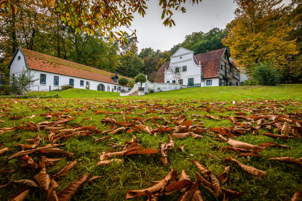 Herbstlaub am Barkenhoff