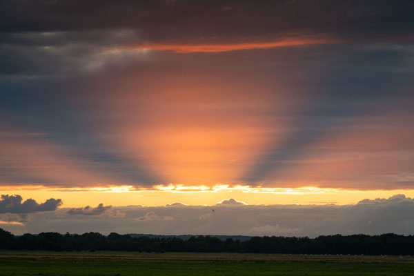 Lichtspiel zum Sonnenuntergang über dem Teufelsmoor
