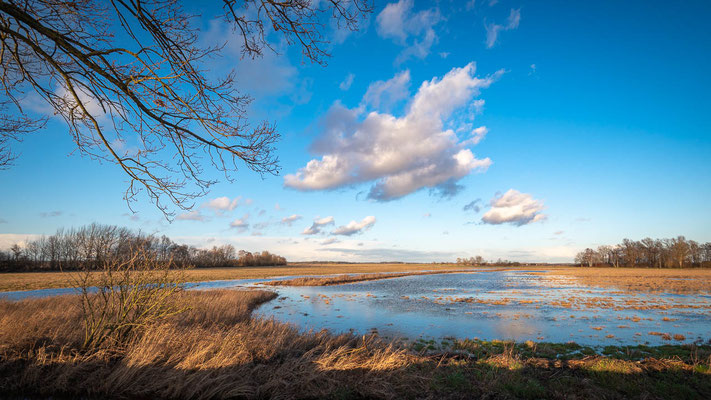 Überschwemmte Wiesen in der Hammelandschaft bei Worpswede