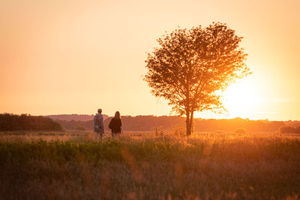 Wandern in der Hammelandschaft bei Worpswede