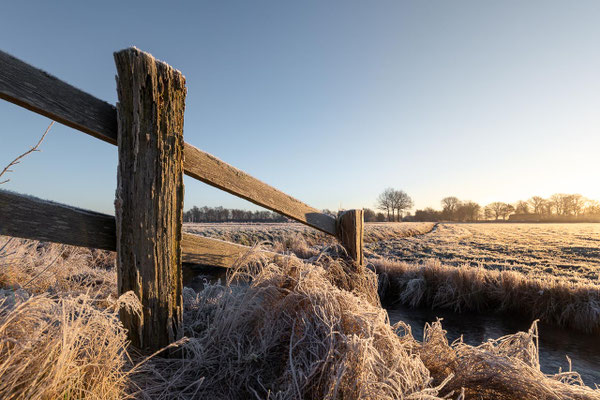 Ein frostiger Morgen in der Hammeniederung bei Worpswede
