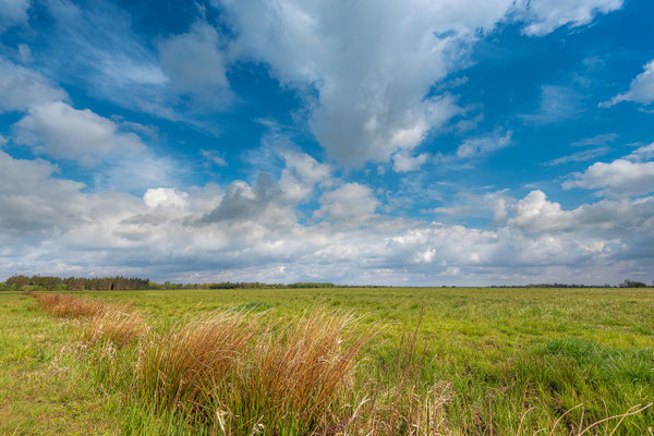Ein prachtvoller Sommerhimmel über dem Teufelsmoor bei Worpswede