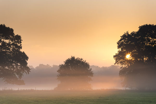 Ein spätsommerlicher Sonnenaufgang im Teufelsmoor bei Worpswede