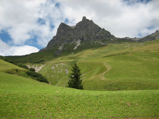 In den Alpen