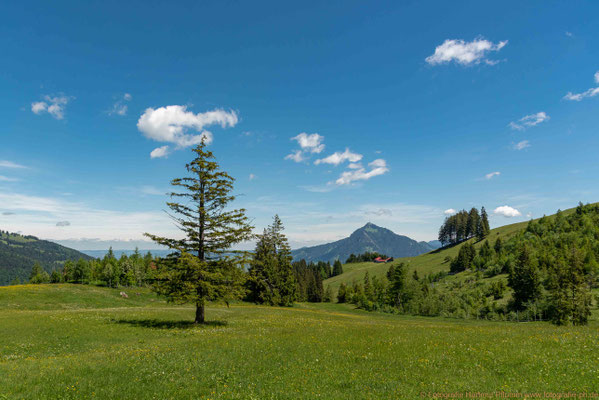 Allgäu-Idylle