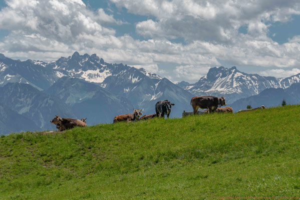 Allgäu-Idylle