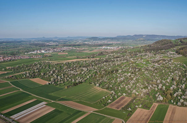 Blühende Streuobstwiesen