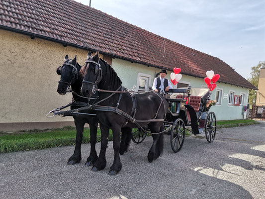 Hochzeit 2-10-21