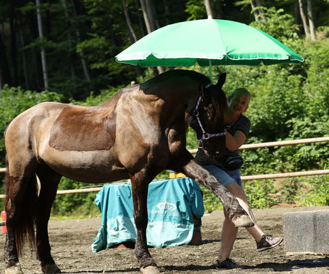 Geschicklichkeitstraining