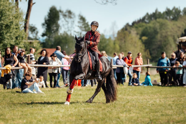 Pferdefest Buckelige Welt