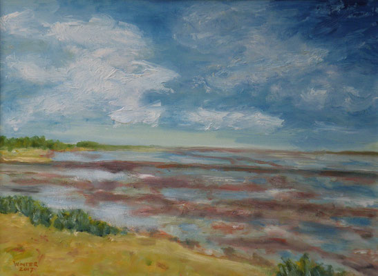 Wattlandschaft auf Amrum