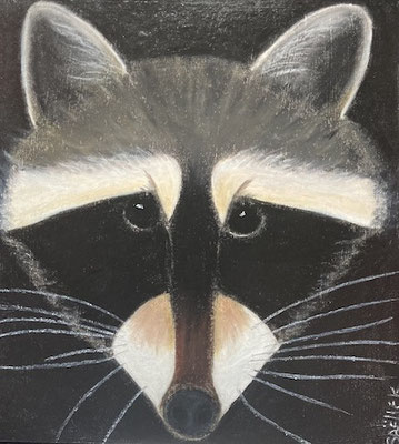 Raton laveur, néopastel sur carton. Saëlle K.