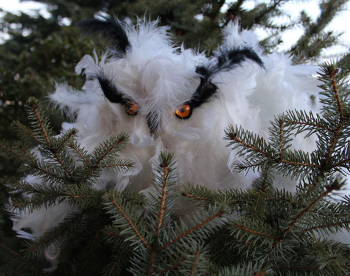 Ookpik. © Saëlle K.