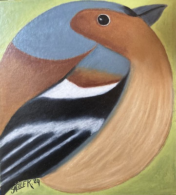 Pinson. pastel à l'huile sur carton. © SaëlleK.