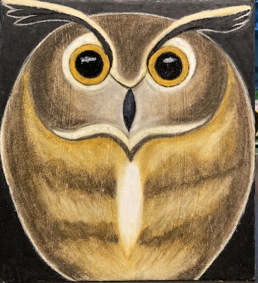Hibou, néopastel sur carton. Saëlle K.