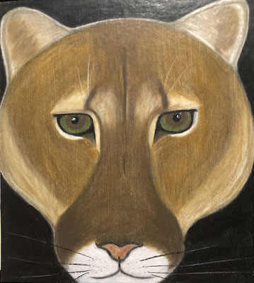 Puma, néopastel sur carton. Saëlle K.