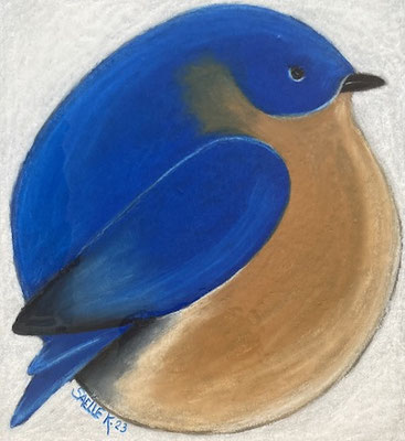 Merle bleu. Néocolor sur carton. ©SaëlleK.