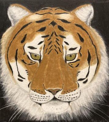 Tigre, néopastel sur carton. Saëlle K.