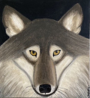 Loup, néopastel sur carton. Saëlle K.