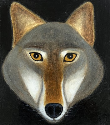 Loup, néopastel sur carton. Saëlle K.