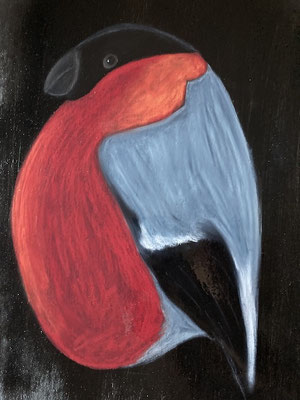 Bouvreuil. Néocolor sur bois © Saëlle Knupfer