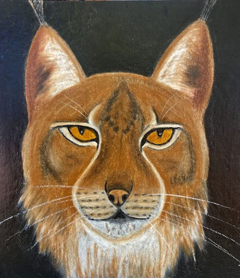 Lynx, néopastel sur carton. Saëlle K.