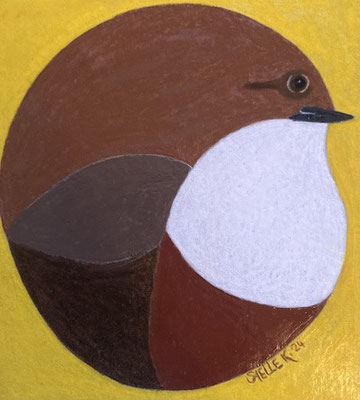 Cincle plongeur. pastel à l'huile sur carton. © SaëlleK.