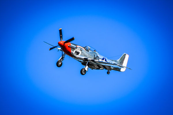 Mustang P51 - Dittinger Flugtage 2018