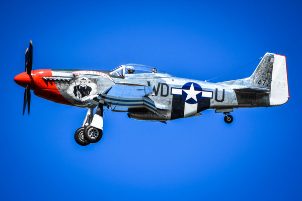 Mustang P51 - Dittinger Flugtage 2018