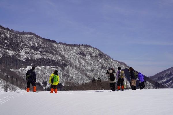 新雪に覆われた棚田に立つ