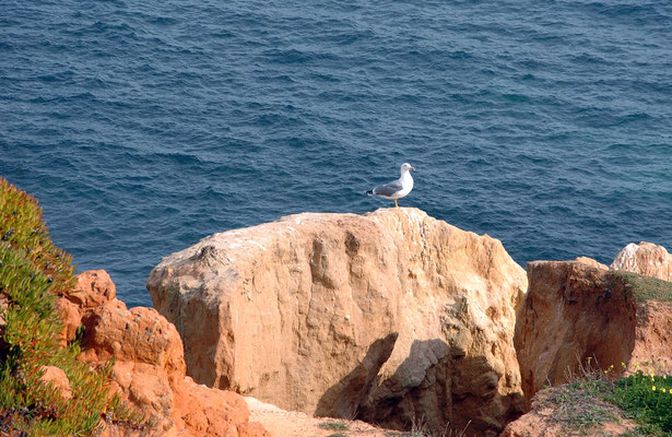 Portugal, Algarve, Lagos