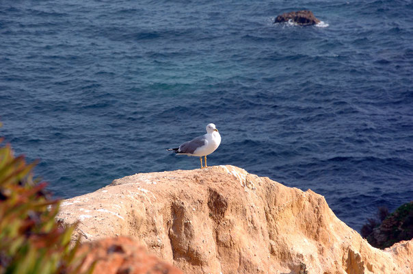 Portugal, Algarve, Lagos