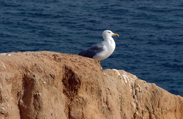 Portugal, Algarve, Lagos