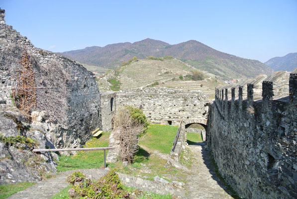 Burgruine Hinteraus, Spitz an der Donau