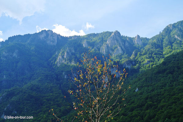 Balkan 2014 • Bosnien-Herzegowina • entlang der Drna