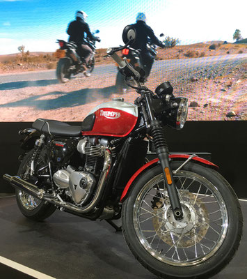 Triumph Bonneville Bud Ekins Sonderedition