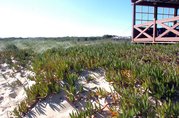 Portugal, Algarve, Salema