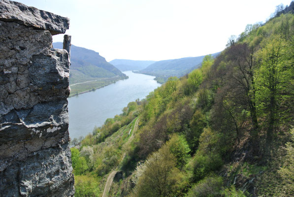 Aussicht von der Burgruine Hinteraus, Spitz an der Donau